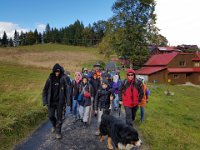 zloty lisc 2018 (17)
